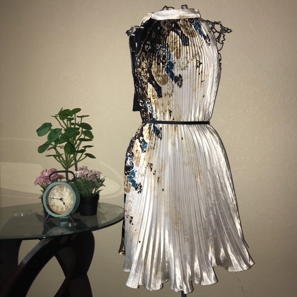Silk Pleated Printed Dress